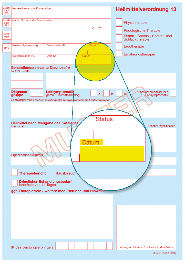 Heilmittelverordnung Muster 13